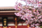 D2010015_005H