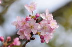 D2010015_015H