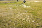 D2010017_032H