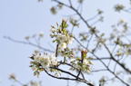 D2010020_002H
