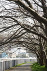 D2010020_003V