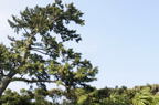 D2010020_017H