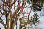 D2010020_024H
