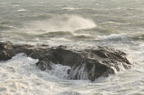 D2010020_039H