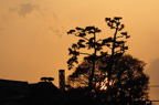 D2010020_061H