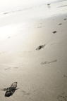D2010022_013V