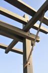 D2010022_023V