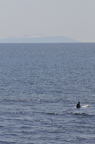 D2010023_005V