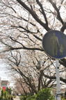 D2010023_031V