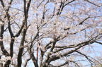 D2010023_034H