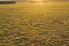 D2010024_021H