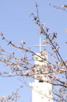 D2010025_010V