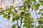 D2010025_019H