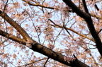 D2010026_005H