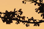 D2010026_018H