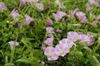 D2010027_013H