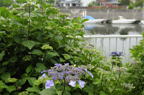 D2010027_033H