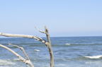 D2010032_008H