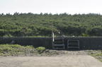 D2010032_011H