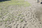 D2010032_013H