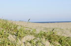 D2010033_009H