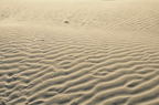 D2010034_008H
