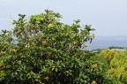 D2010035_004H