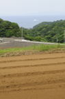 D2010035_030V