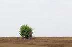D2010035_039H