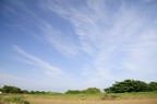 D2010036_001H