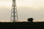 D2010036_025H