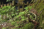 D2010037_039H