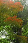 D2010037_046V