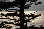 D2010037_052H