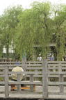 D2010039_035V