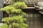 D2010039_051H