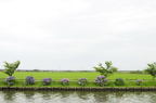 D2010040_017H