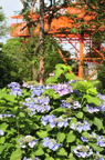 D2010041_013V