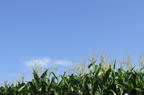 D2010043_023H