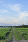 D2010043_071V