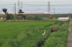 D2010043_088H