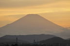 D2010043_102H