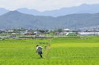 D2010044_051H