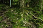 D2010045_005H