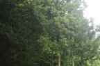 D2010046_028H