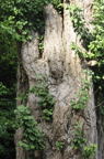 D2010048_007V