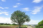 D2010049_015H