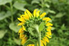D2010049_018H