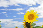 D2010049_047H