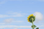 D2010049_063H